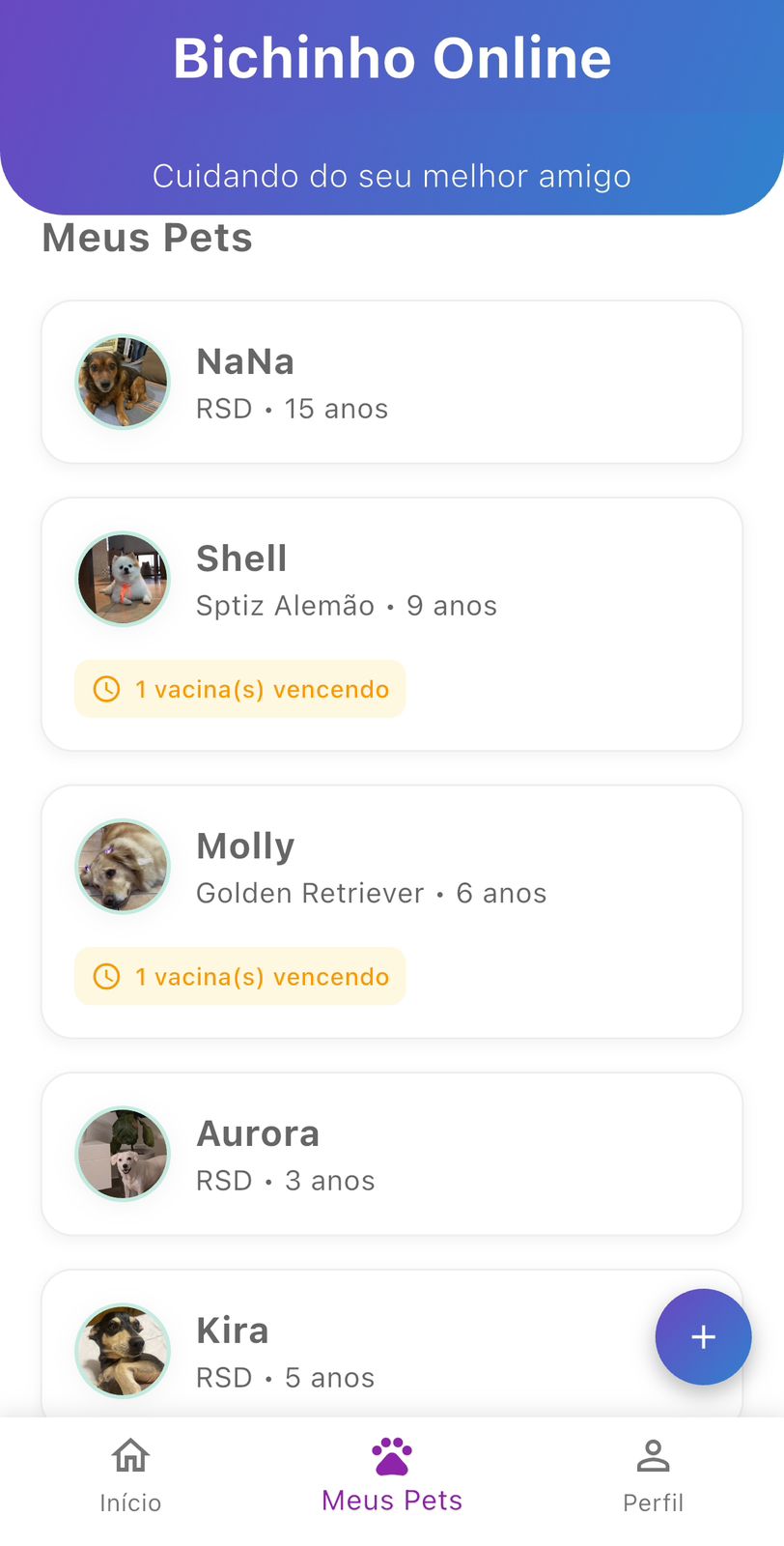 Lista de pets cadastrados